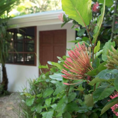 Jungle'S Edge Hotel Nosara Exterior photo